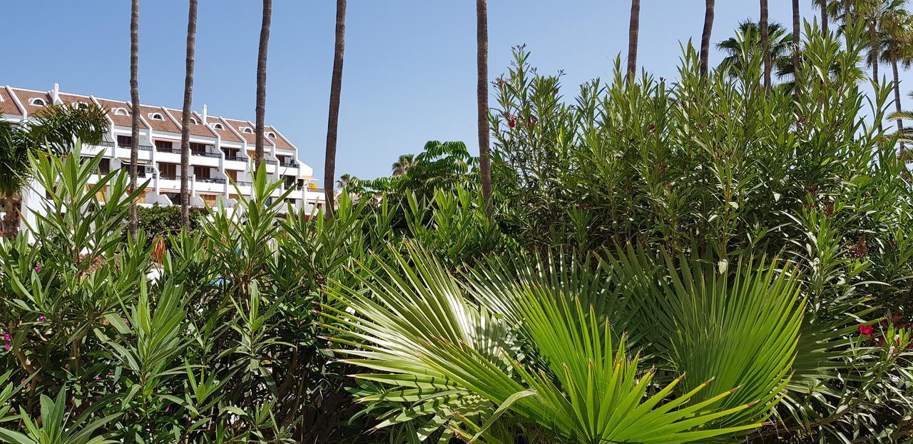 Atlantic Apartment Las Americas Playa de las Americas  Exterior photo